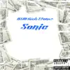 RSM Rich Stoner - Sonic - Single