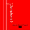 Gertect Sound Project - Symphony 9 (Strings III) - EP